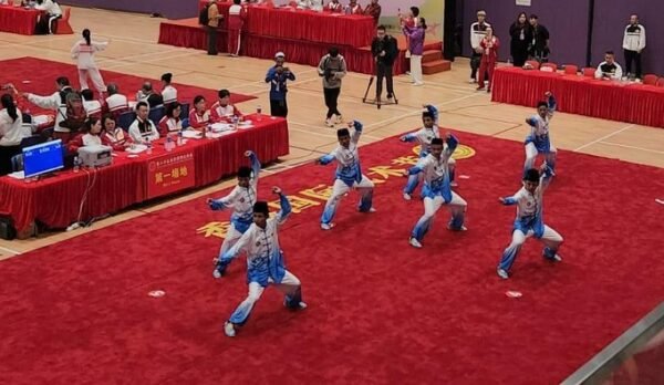 wushu-1740838018888_169